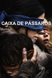 Caixa de Pássaros